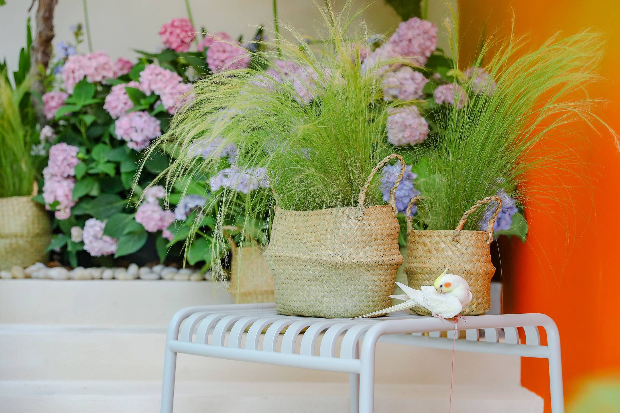 314b5b4b24242a3092a268ffa8e8d63.jpg 琪琪影院