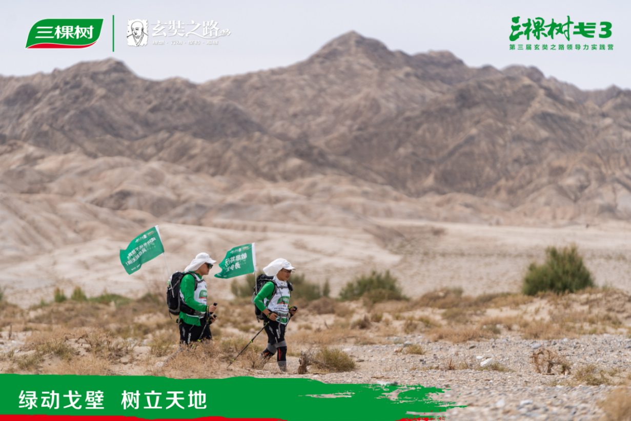 1600767223684052t7zs.png image.png