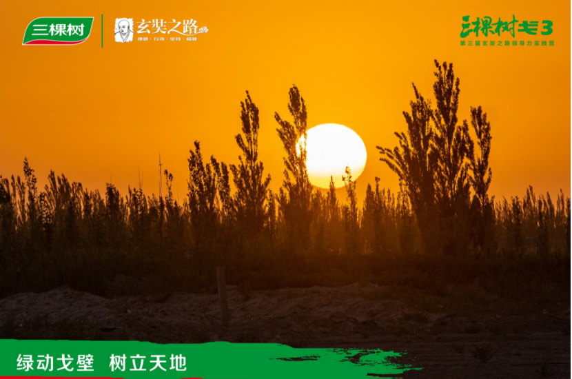 16007727374584856YzA.png 5.png