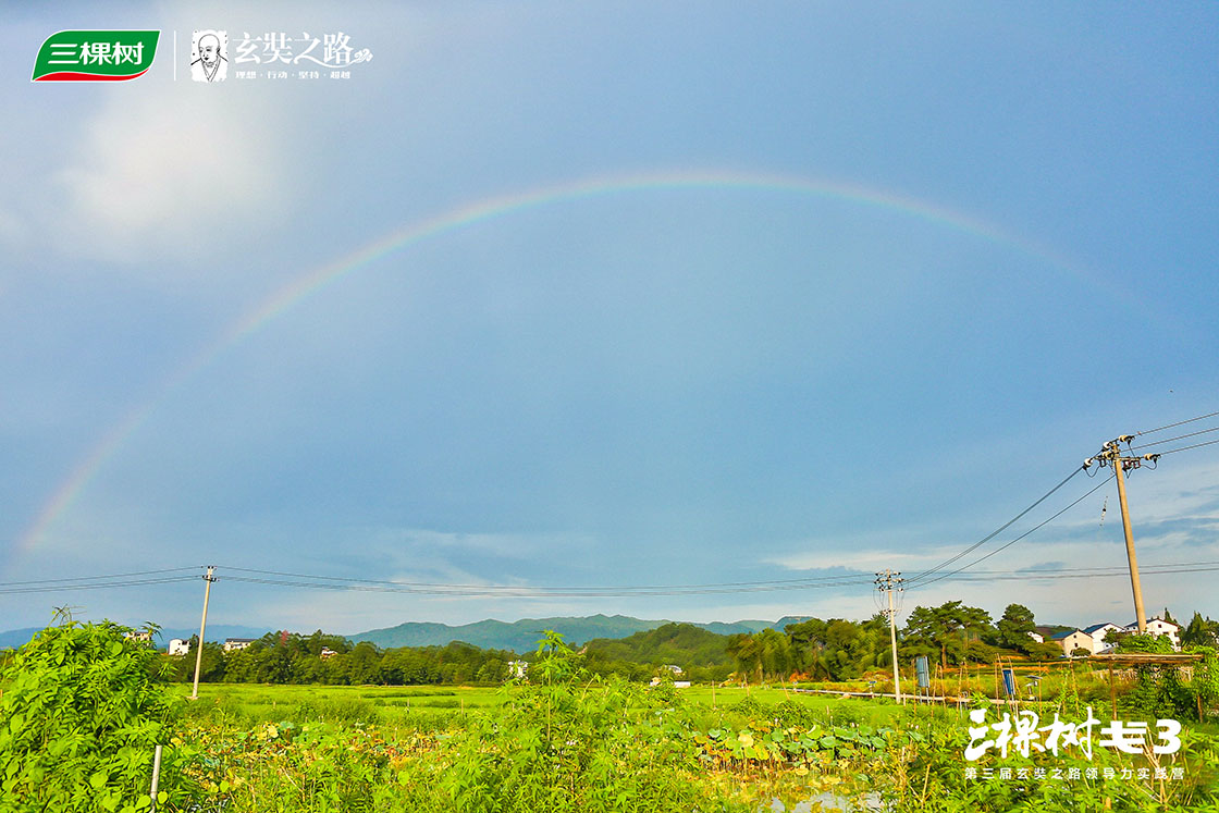 1597029283435453PlkC.jpg 11.jpg