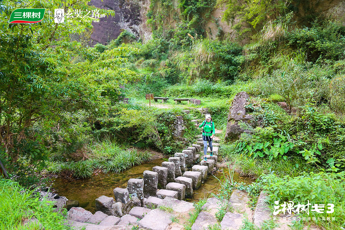 1597029297437358bIhS.jpg 12.jpg